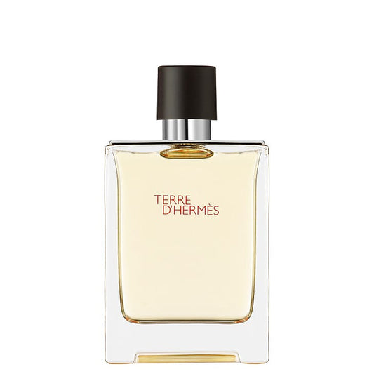 Terre D'Hermès Eau De Toilette 100 ml